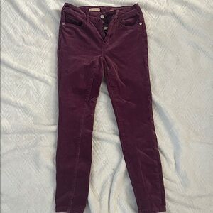 Pilcro Mulberry Corduroy Trousers